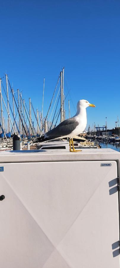Insolite Au Fil De L'eau Sète